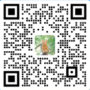1781571980211665.png 搜狗高速浏览器截图20260616085120.png